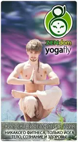 Yoga Fly