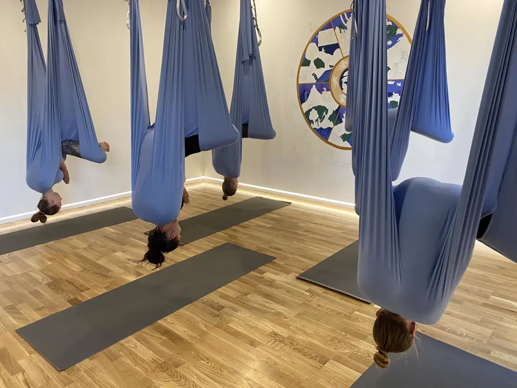 Fly Yoga Space (флаййога, аэройога)
