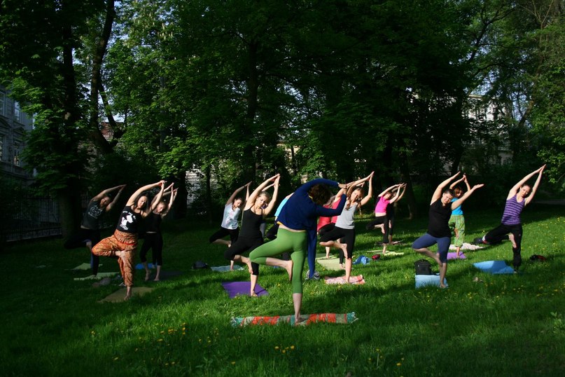 Йога для начинающих (Yoga Live Studio)