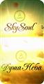Sky Soul - Душа Неба (Йога в воздухе, аэройога, антигравитационная йога, йога в гамаках.)